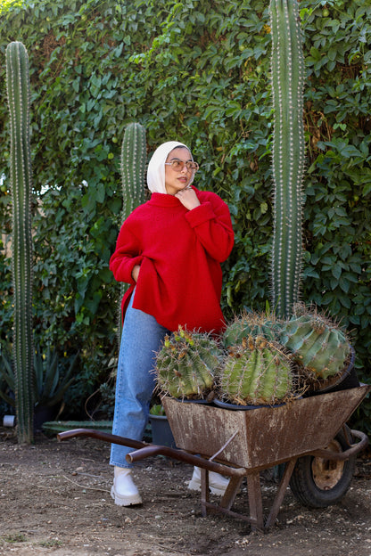 Teddy Collared Pullover - Red