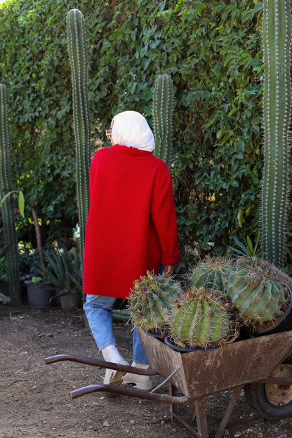 Teddy Collared Pullover - Red